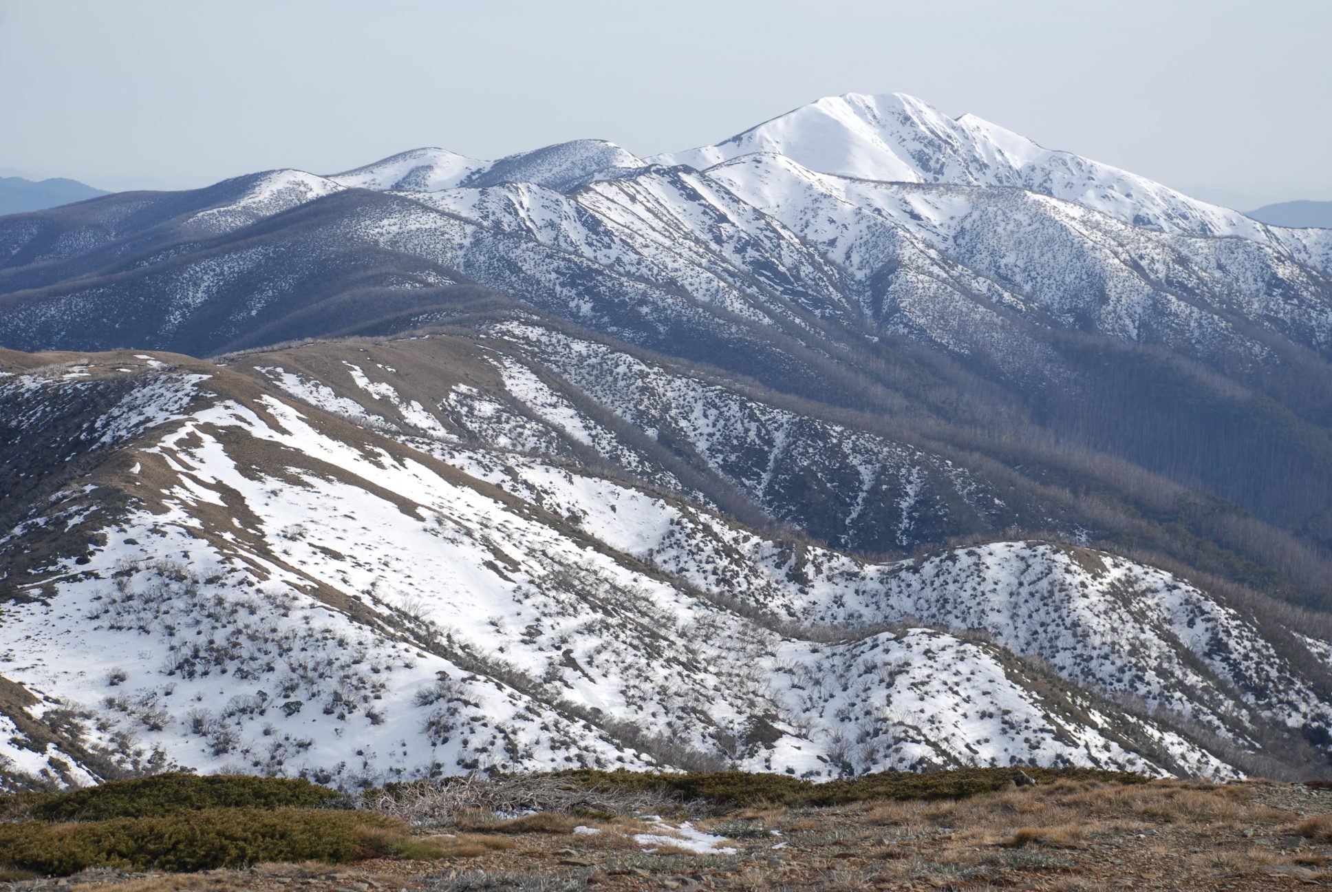 File:Mount Feathertop and Razorback.jpg