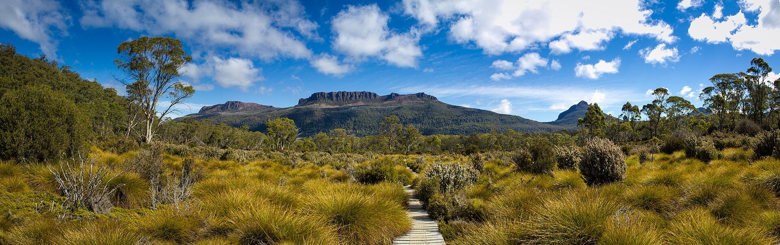 File:Mount Olympus, Lake St Clair national park, Tasmania, Australia.jpg