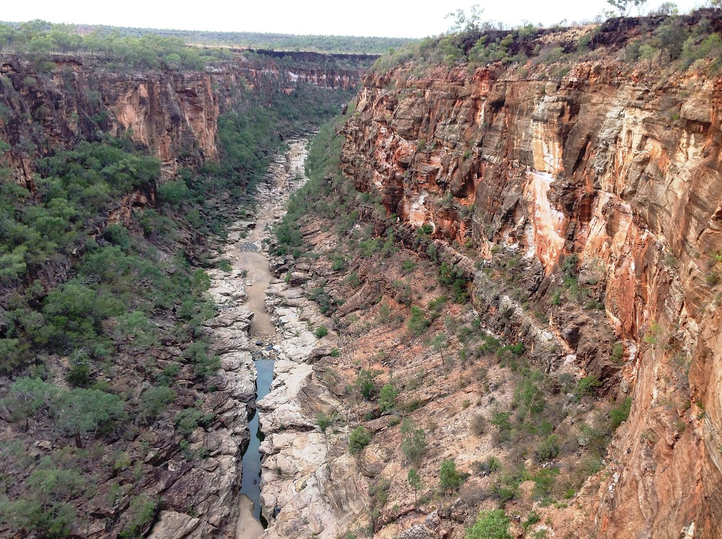 Charters Towers & North Queensland hunting country
