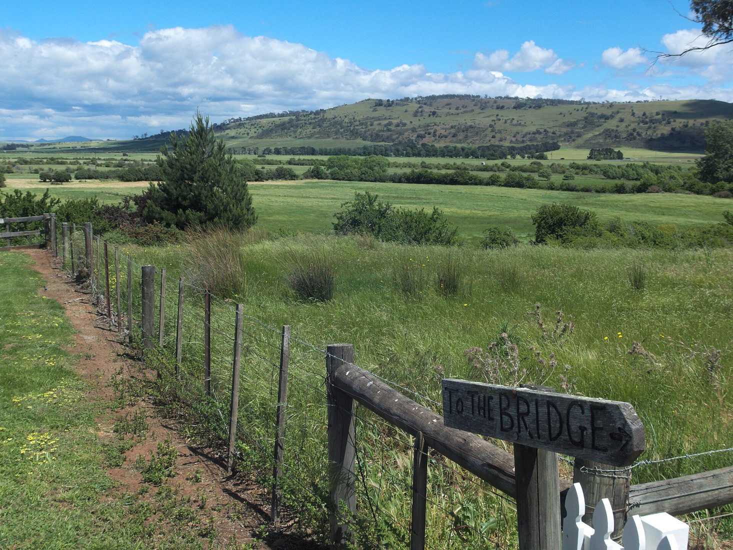 Tasmanian Midlands hunting country
